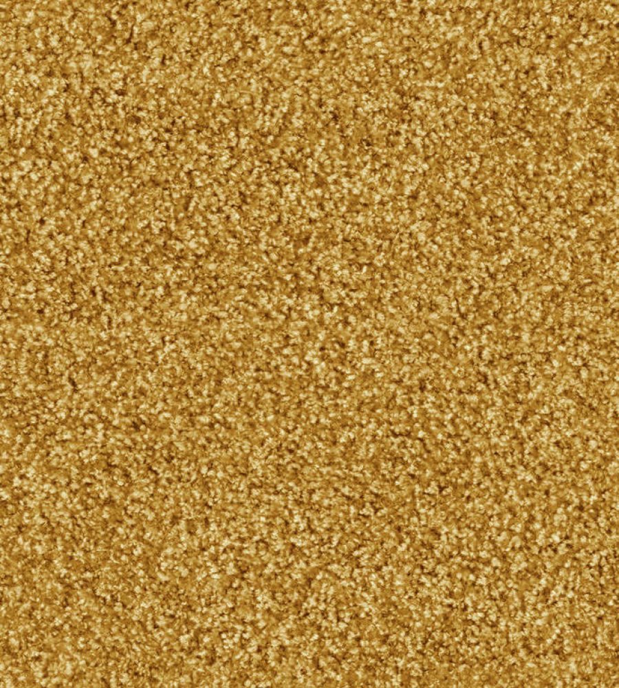 Gold carpet