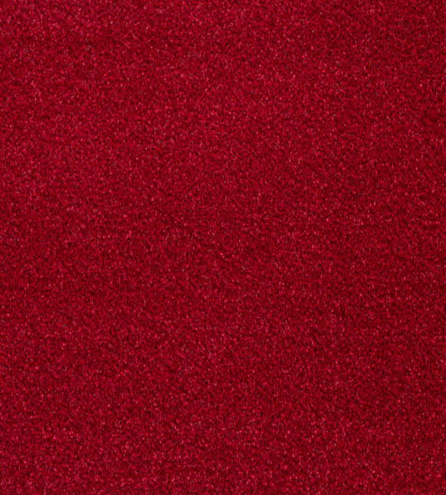 Maroon Carpet