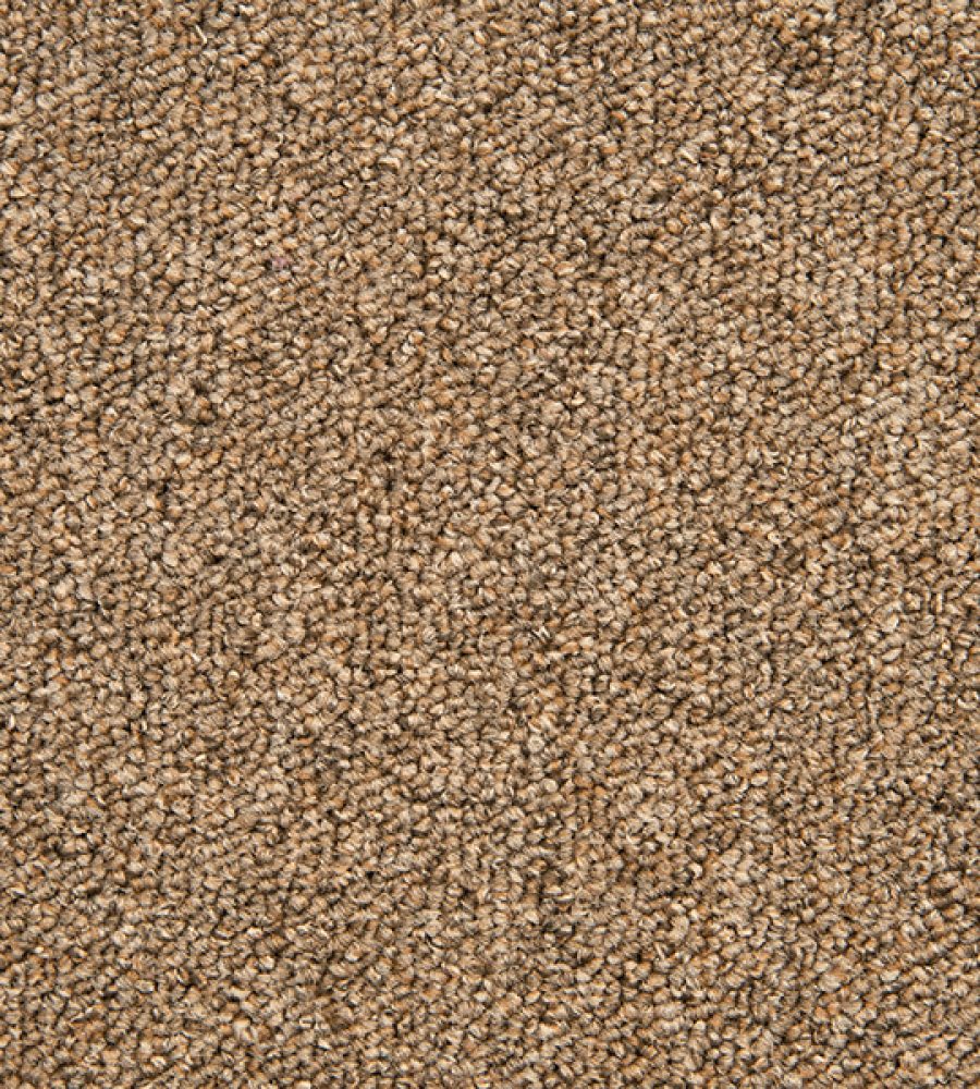 Sand Carpet